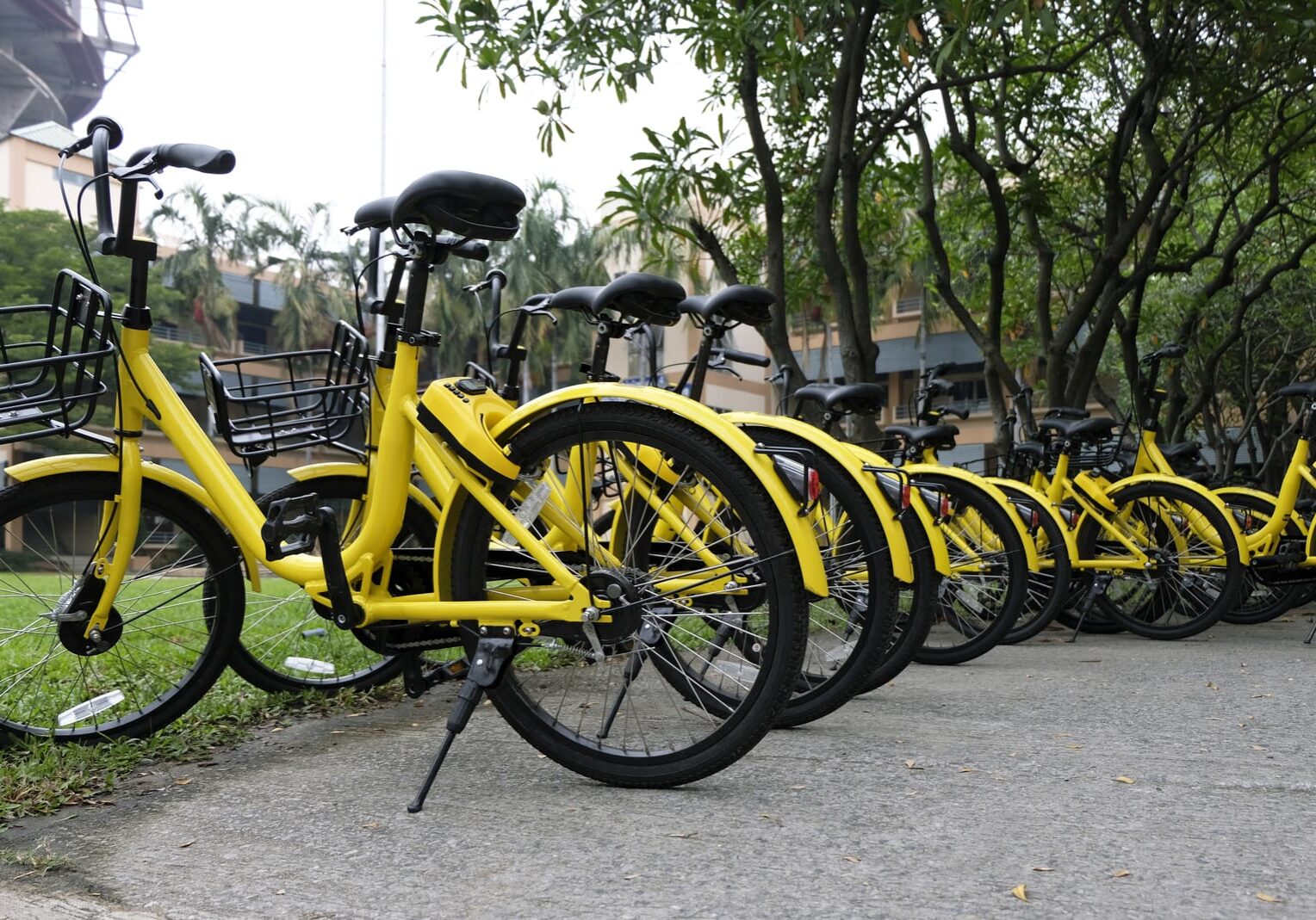 velos en libre service